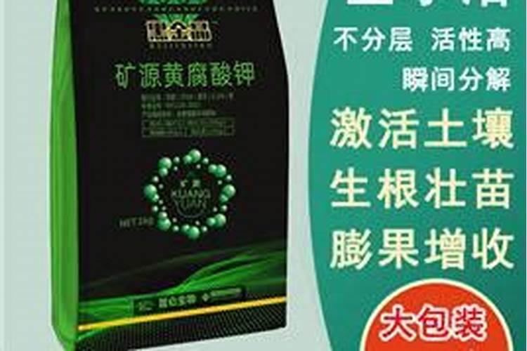 什么时候给果树上黄腐酸钾 作用是什么
