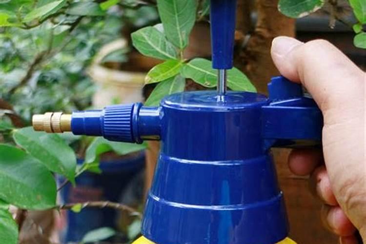 花草什么时候施肥最好 花草施肥时间