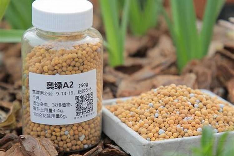 奥绿318s适合绣球残花休剪后用吗？