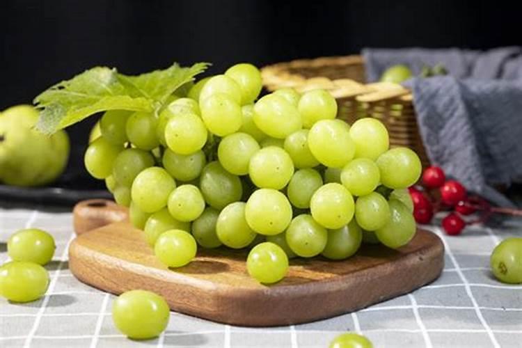 阳光玫瑰小苗的幼苗期可以用大量元素水溶肥吗？