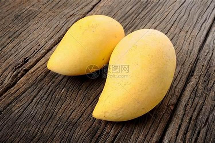 请问有谁知道木芒果的栽培方面的信息吗？听说他也叫做木香木果,有哪位朋...