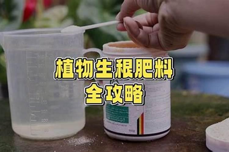 生根最快的肥料