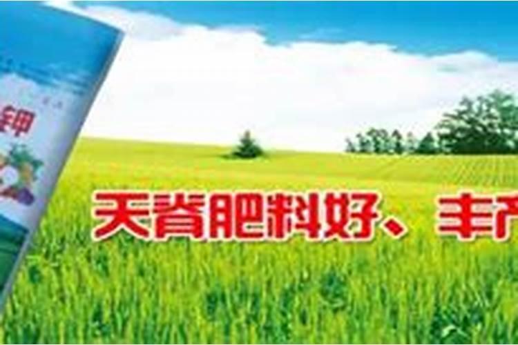 天脊集团钾盐有限公司是国企吗？