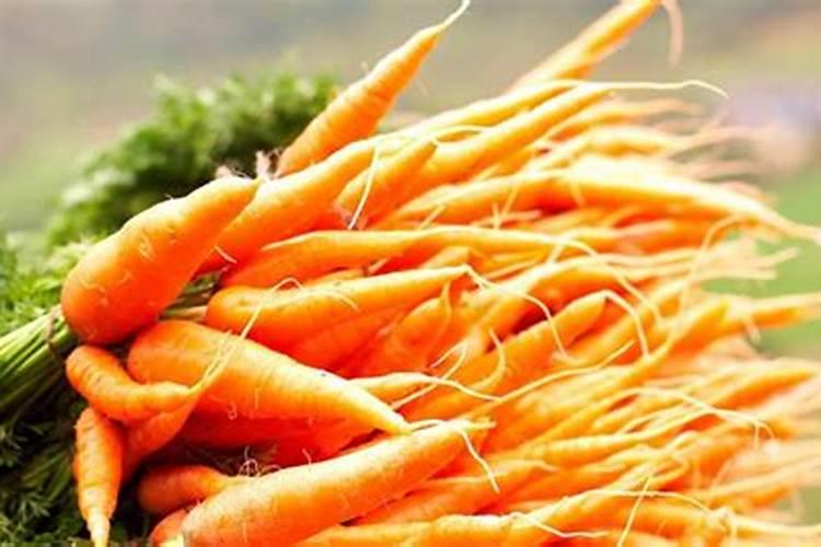 胡萝卜如何施肥最科学 选择什么肥料好