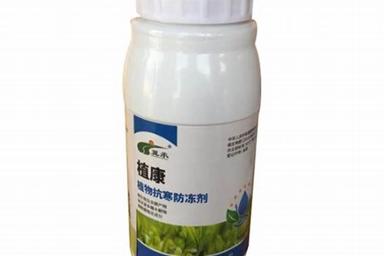 增强植物抗寒施什么肥