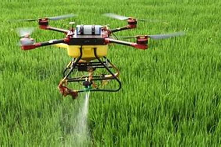 抗病虫害用什么肥