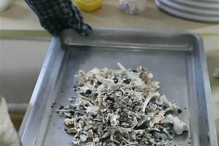 烧完的骨头是什么肥料