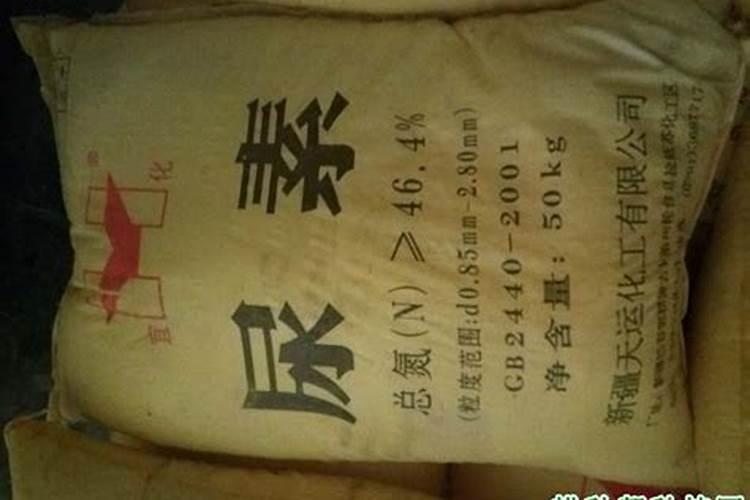 什么叶面肥最好