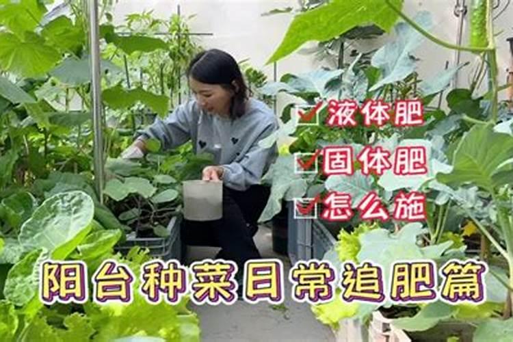 种菜用什么追肥长得快