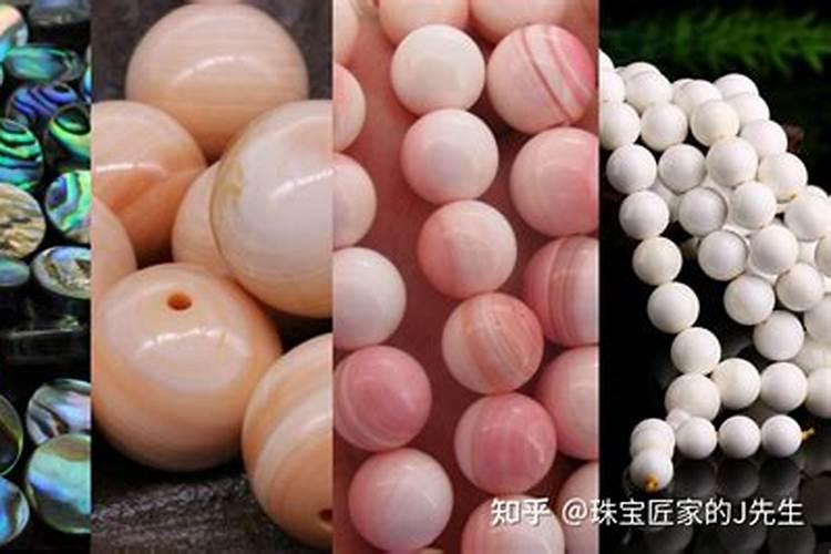 贝壳可以做花肥吗