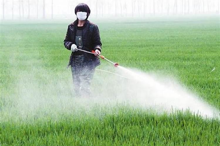 初三研究性学习:调查化肥和农药的利和弊