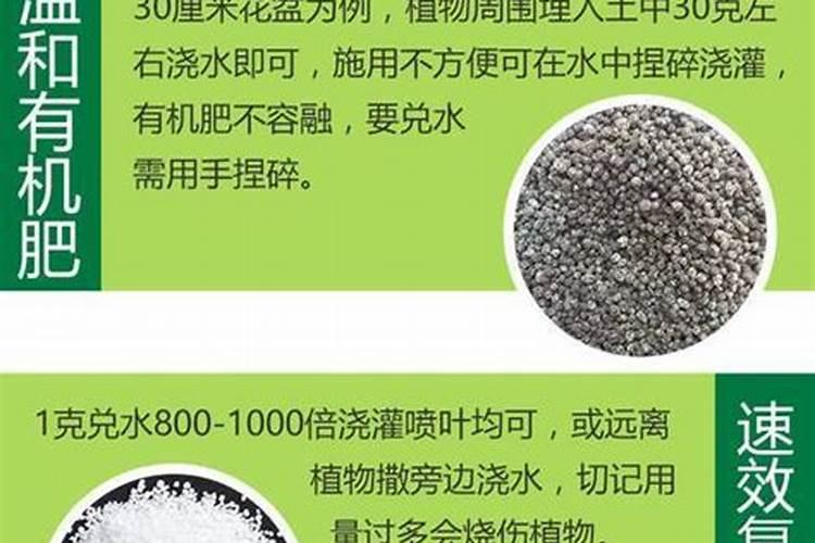 果树用什么肥料最好