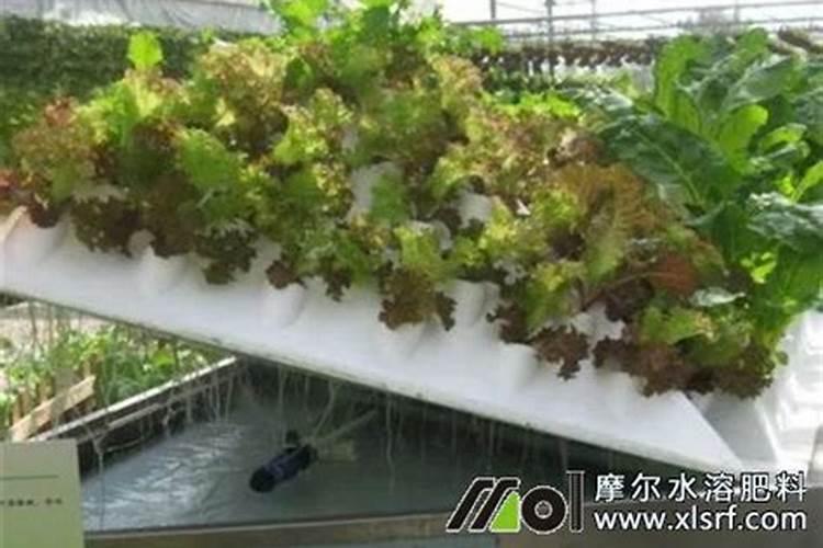 水培可以用水溶肥代替营养液吗