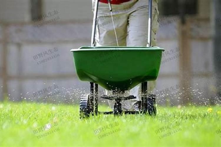 草坪正确施肥方法