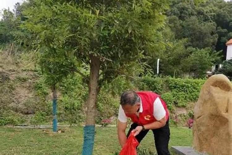 雨后多久施肥效果好