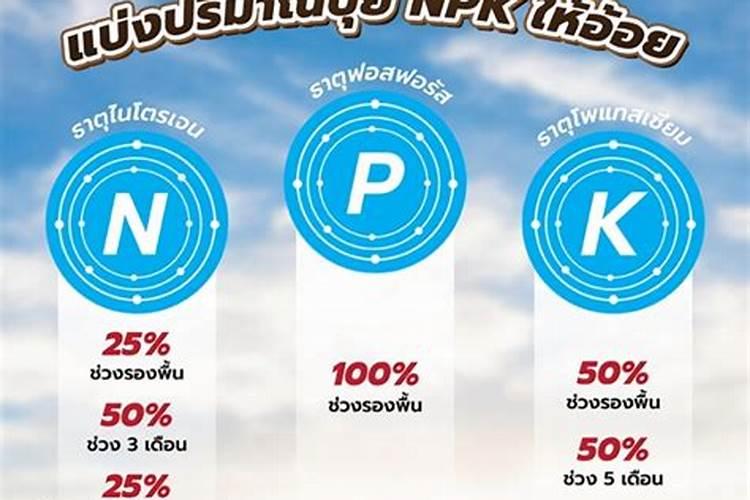 土壤中N P K含量最好为多少