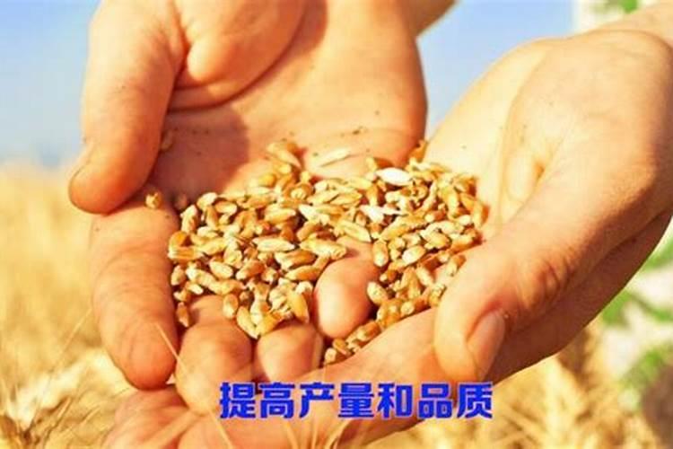 多钛尿素和黄腐酸尿素哪个好