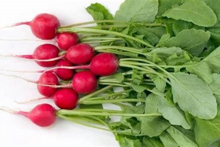 .甜菜有什么营养？