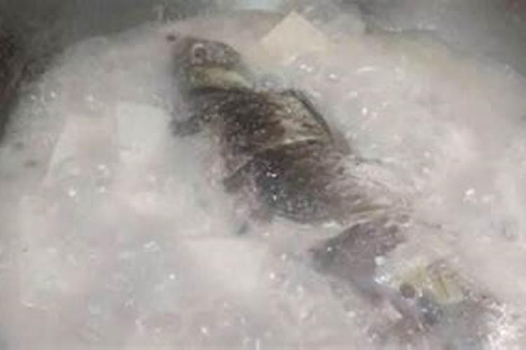 花生和鱼能同吃吗？