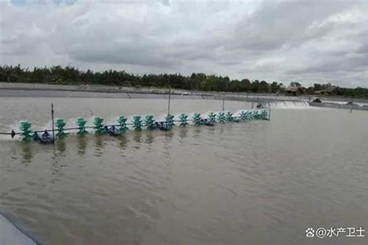 虾塘怎样用磷肥肥水