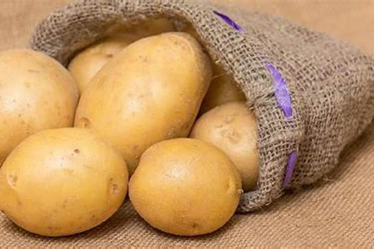 洋芋就是土豆吗？