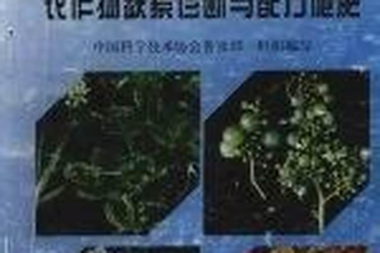 中医农业讲座作物缺素的诊断与防治!