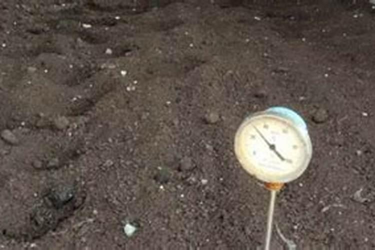 自制有机肥快速发酵方法