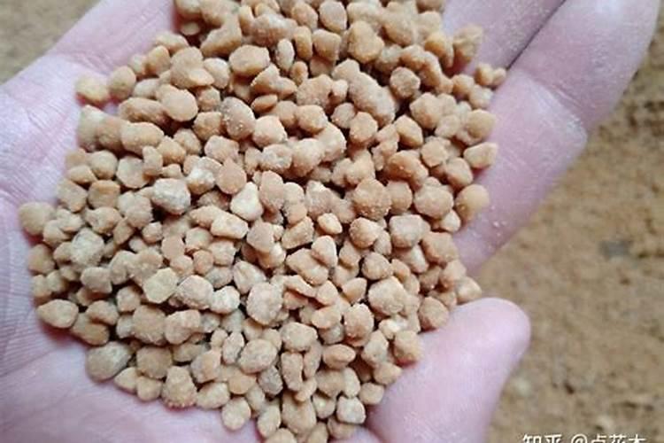 家用自制氮肥有哪些