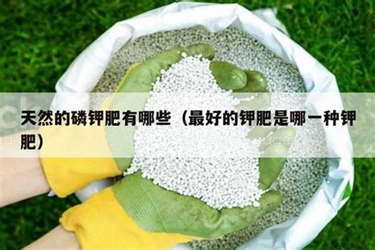 钾肥有四种哪种最好