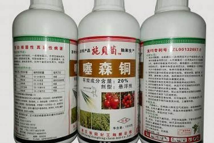 油麦菜可以喷铜制剂农药吗