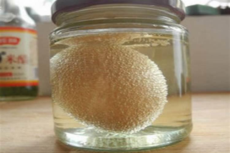 鸡蛋壳加白醋发酵几天能成钙肥？