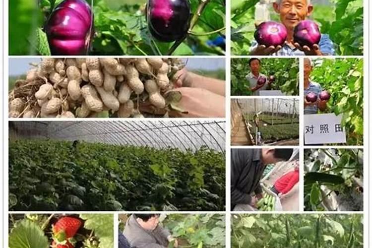 黄腐酸钾哪有卖的