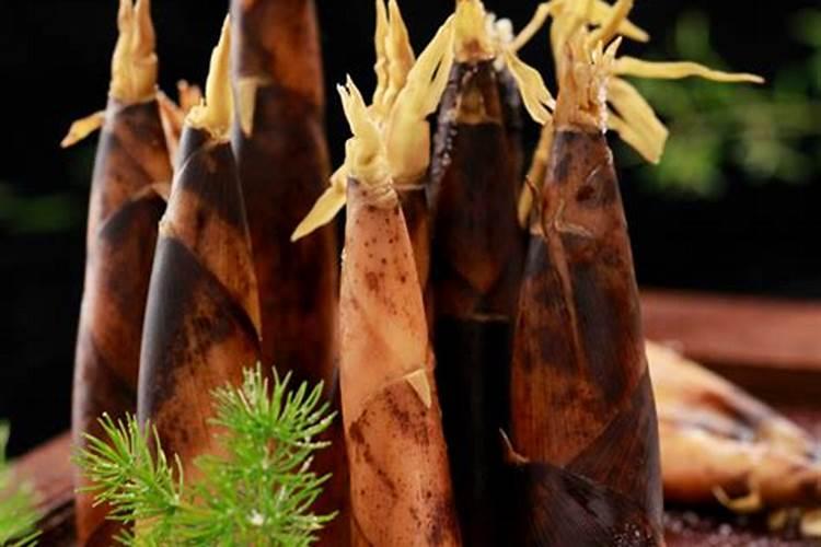 春笋怎么进行笋前施肥