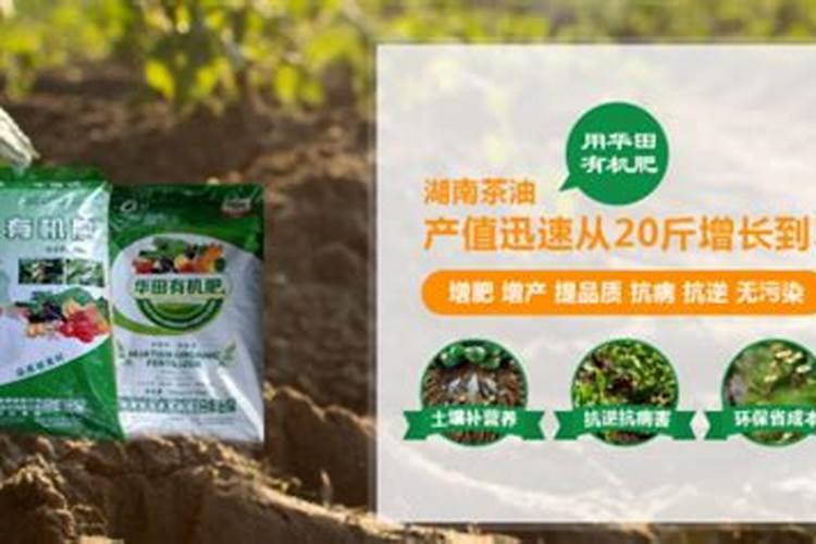 华田盛德草坪专用肥如何？