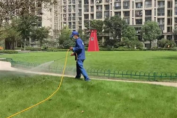 草坪生长淡旺季的养护措施有哪些