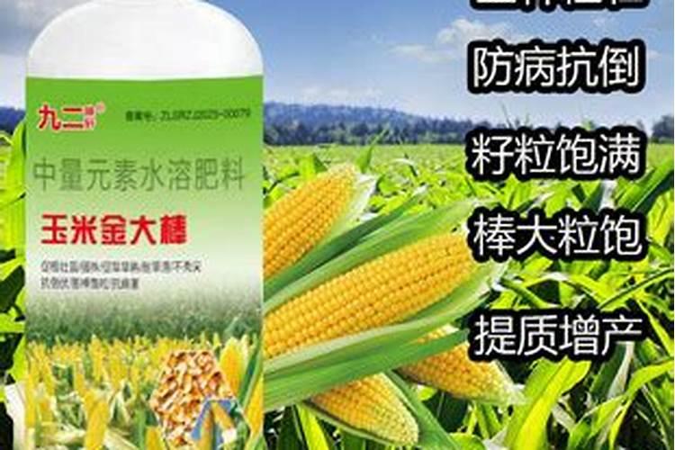 玉米营养肥金大棒水溶肥能打向日葵吗