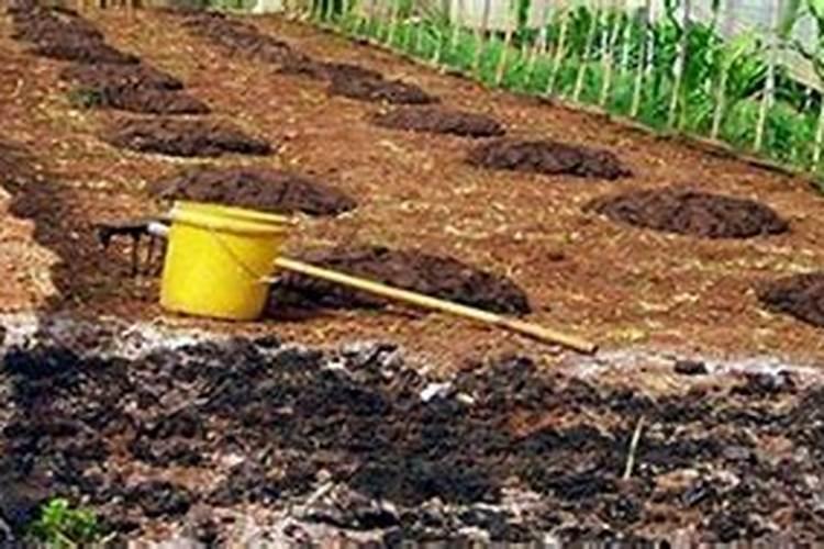 黄腐酸钾最佳使用方法