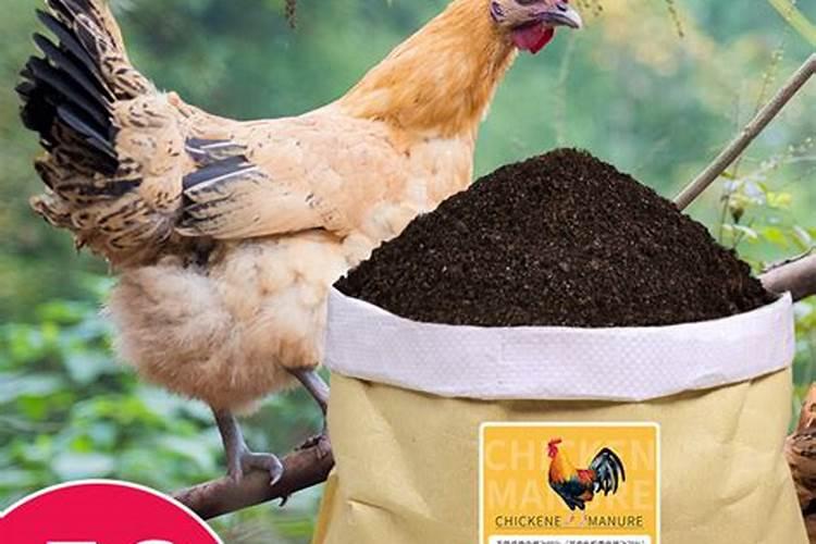 滨州市区内哪有卖鸡粪肥或磷钾肥的？一般的种子店有卖吗？种子化肥店卖的...