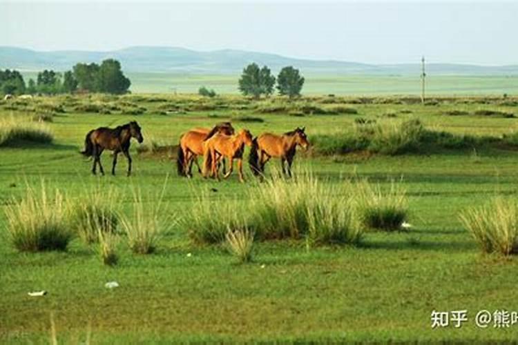 内蒙古有哪些大企业生产加工腐植酸？