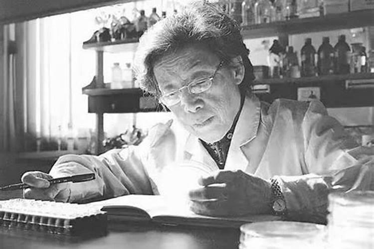 陈文新的主要经历