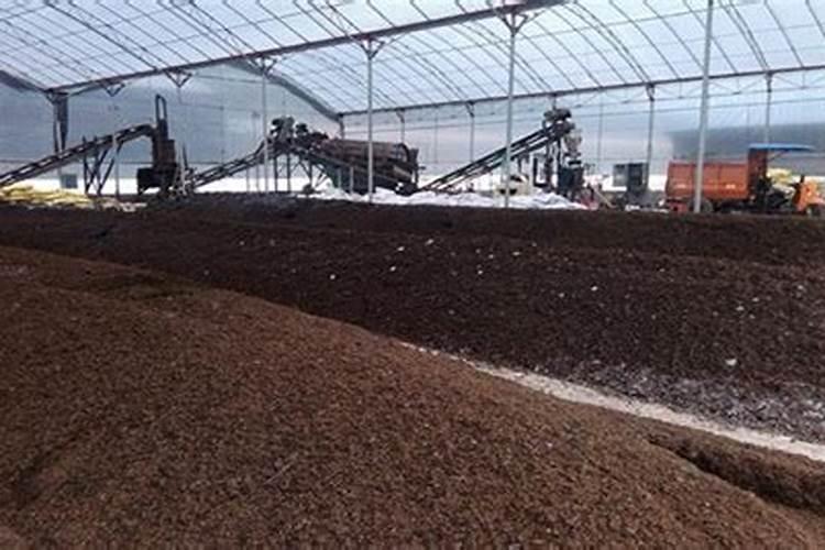 有机肥厂恶臭该怎么处理？