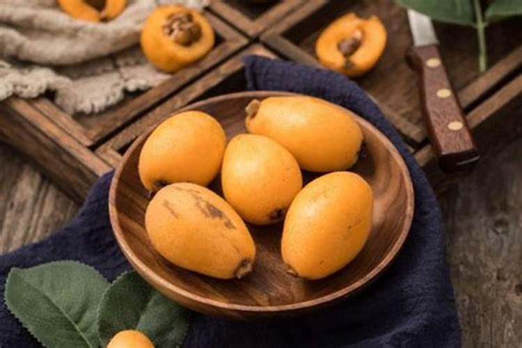 在枇杷的栽种注意事项