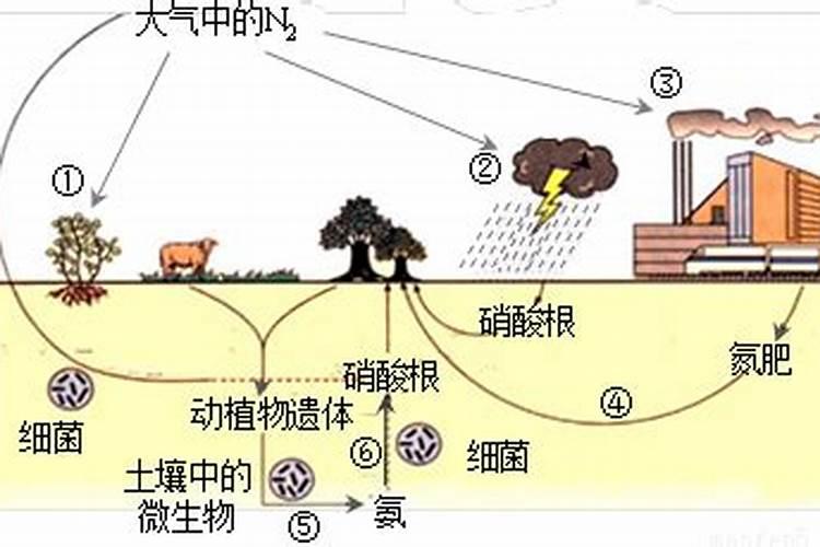 氮是怎么变成化肥的