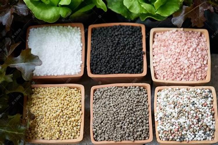 菜地常用的化学肥料包括哪几类？有何特点？