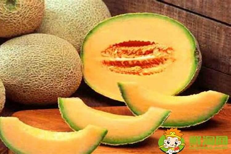 哈密瓜能和鱼类搭配食用吗