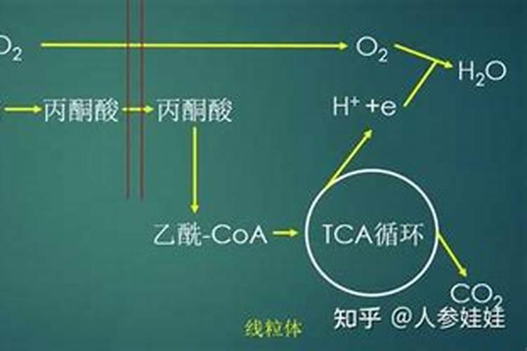 好氧生化池加葡萄糖有啥影响？