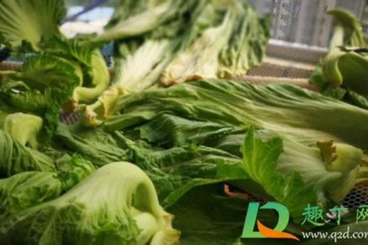 怎样让蔫了的蔬菜恢复