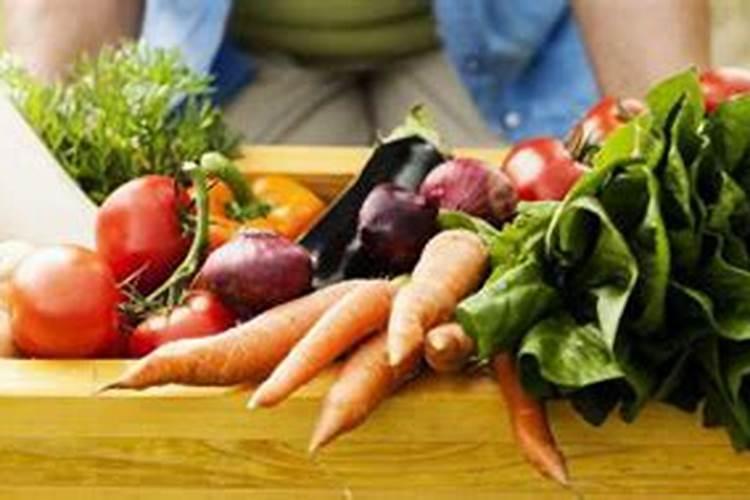 青菜的叶子为什么会变黄？