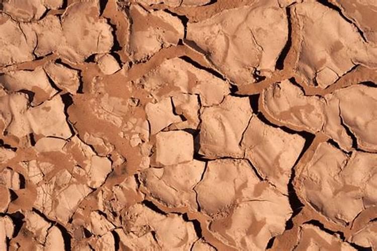 黄泥土一般什么地方有