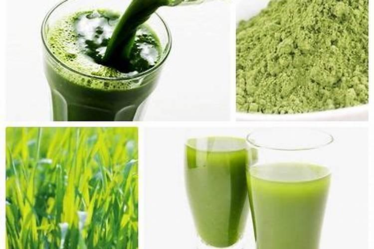 四种人不能喝青汁 这些人喝青汁要小心